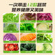一号农场即食12种混合新鲜蔬菜沙拉碗轻食代餐0脂油醋汁色拉生菜 695g