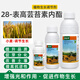 Lezhuangfeng 28 epibrassinolide plant growth regulator to strengthen seedlings, foliar fertilizer, promote flower growth, and eliminate drug damage 1000ml bottle