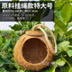 Runhuanian Coconut Shell Bird's Nest Tiger Skin Peony Mystic Bird Parrot Bird's Nest Pet Warm Straw Extra Large Raw Material Lanyard