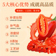 
HIEUAILR Pangdonglai wolfberry original slurry 100% genuine kidney and yang nourishing men and women staying up late and overdrawing Qi and blood nourishing health Three boxes [Deep kidney and yang nourishing package]