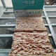 Yi Nong Shang Food Manufacturer Frozen Pure Dried Pig Intestine 20 Jin Jin is equal to 0.5 kg. Less oil semi-cooked pig intestine noodle restaurant restaurant Yi Nong Manufacturer (pre-cooked large intestine) 20 Jin Jin is equal to 0.5 kg