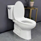 TOTO Toilet Split CSW718 / 719B Siphon Silent Anti-Odor Jet Siphon ralentissez et Smart Clean Water-Wabelet CSW718 Goods dans le ménage 305/300 mm