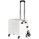 
Customized grocery shopping cart household folding shopping cart pick up express cart trailer hand pulling truck portable light pull [L3881] medium (30L) hook model [Tea Others