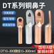Huijun national standard A grade copper nose thickened copper terminal block cable connector lug copper tinned DT-95mm