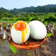 
Fresh salted duck egg 50g/piece of oily duck eggs red heart duck egg ready-to-eat salted egg breakfast supermarket red heart fresh 50g [10 pieces]