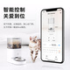 Homerun Real Intelligent Automatic Feeder Cat Food Dog Food Timed Automatic Feeding Machine Intelligent Feeder [with stainless steel bowl]