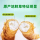 2025年头期鲜草新鲜冬虫夏草正品鲜虫草天然鲜虫草营养滋补送礼 西藏鲜草0.8-0.9克/条 20条送1条 冬虫夏草  顺丰发货