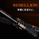 达亿瓦（DAIWA）REBELLION逆霸龙路亚竿鲈鱼竿溪流竿2节钓鱼竿 682ml+fs 203m