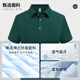 汇彩衫弹力冰丝POLO衫工作服定制夏季翻领短袖企业公司员工装T恤印logo 【冰丝抗皱】DC-677T恤短袖 豆绿 2XL