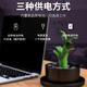Ultra HD Pin 4K Small Eye Mobile Mobiltelefon Remote WiFi kleiner privater Überwachung Home-Verwendung ohne Plug-In. Hot 4K Ultra Definition Upgrade Model 5G Dual-Band-WLAN + Schwarz ohne Speicher (ohne Aufnahme und keine Wiedergabe)