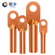 Guxiang DT copper nose wire nose cold-pressed terminal block copper wire ear copper wiring cable lug terminal nose national standard A grade 95 square single hole 2 pack