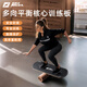 American RAYNIGEL balance board ski training surfing adult core fitness exercise professional multi-directional balance board