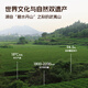 孝文家茶乌龙茶武夷岩茶奇香大红袍一级149.4g茶叶礼盒装 口粮茶