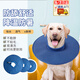 Zhizhou Dog Elizabethan Circle Deepened Large Dog Anti-Licking and Anti-Bite Collar Large Soft Circle Soft Summer Neck Collar Dog Elizabethan Circle (Blue) L-Inner Circle Adjustable 23-46cm Freely Adjustable, Anti-licking and Comfortable
