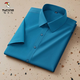 Specht Sommer kurzärmeliges Hemd Herrengeschäft Casual Professional Workwear Formale Trage Elastizität Nicht scannt und Anti-Falten-Männer-Basis weißes Hemd weiße D802 Weiß D802 m /3895-110jin [Jin gleich 0,5 kg]