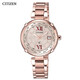 
CITIZEN watch photoelectric perpetual calendar strap case business fashion women's watch EC1048-54W multi-campus radio wave women's watch