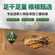 Zangzhiweng hohe Höhe Cordyceps Sinensis Ausgewählte erste Stoppeln getrockneter Cordyceps High-End-Ernährungs-Geschenkbox für Älteste an Führungskräfte an Kunden 4 Stäbchen/Blick insgesamt 50 Gramm [gesunde und Ernährung, zuverlässige Qualität]