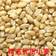Wheat grains with skin 5Jin Jin is equal to 0.5kg Edible flour grinding medicine to induce maltose Germinated grass seeds Juicing and brewing Cat grass 2025 new wheat 2Jin Jin is equal to 0.5kg (can be germinated and ground)