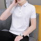 Summer Solid Color Lapel Polo de manga corta Polo de manga corta Versátiles de negocios Camiseta de media manga mimedia QY686 M