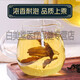 Peking Tongrentang Qingqian Liutang Jiangshen Tee Authentische chinesische Medizin Maulbeerblatt Tee Burdock Mais Haut Spezialer Wildtee Jinqian Liu Blutzucker [4 Dosen] Qingqian Liu 1000g]