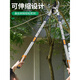 JCZS German precision thick branch shears, special garden pruning tool for fruit tree pruning, powerful pruning of thick branches and large branches, labor-saving, basic thick aluminum pole, full length 60cm + SK5 blade
