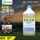 Feiling ethephon 40% ethephon water agent persimmon cotton tobacco banana tomato ripening plant growth regulator 1000g/bottle