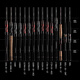 DAIWA 21 new STEEZ lure rod long-range STEEZ gun handle bass insect rod imported two-section competition rod 2.03 meters 17 models RD 681M/MLFB single section