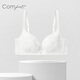 Comfit【花影风巢杯】无钢圈大胸显小大码内衣女舒适透气文胸CBW0195 乳白色CRM 75C