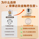 Rongshida Health Pot Verre Full Verre Multi-fonction Full Automatic Cuideur à thé STANG POT INTÉRÉSIRMÉE Deux-en-un Small Full Automatic Constante Temperature Pot Electric Hot Kettle 1,5 L Glaze en titane / ragoût gratuit Casse / YSH1585D