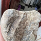 Enchère directe à un prix réel. 1283 grammes de pierre crue de jadéite birmane, qualité de l'eau, vieille bouche cassée