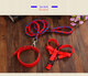 Guazhou Mu Dog Chain Dog Rope Braided Nylon Rope Three-piece Set Dog Walking Cat Rope Small Dog Large Dog Leash Red Black PP Chain M (2.0*150CM)