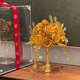 Cup Horse Chinese Style Bride Hochzeit Halten Blumen Golden Rose Hochzeit Geschenk Hochzeit Handgefertigte DIY XIUHE GESCHINNEN Best Freund Thorn Rose --- Fertiges Produkt + transparente Geschenkbox + Geschenktüte