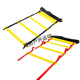 
Weedun football training equipment agile ladder basketball footstep jumping grid ladder agile ladder rope ladder soft ladder training ladder thickened 6 meters 12 sections + bag + 5 logo discs