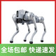 宇树机器狗 Go2 语音 AI大模型 机器狗Go2 电子狗 具身智能 伴随 仿生陪伴机器人 四足机器狗 +遥控器 G1