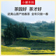 小罐茶园金标系列 茶叶礼盒 乌龙茶 武夷山大红袍圆罐装60g 60g*1罐