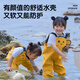 
Lingte hanghai jumpsuit outdoor play underwater pants waterproof clothes wading suit water shoes integrated - Xiongxiong cartoon size 24