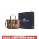蔻驰（COACH）xPEANUTS联名款City15经典印花Logo人造革托特包Tote包购物袋单肩 基础装(包+防尘袋)