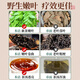 协和京品青钱柳叶茶降水压低脂低糖高血压搭绞股蓝罗布麻养生茶 青钱柳三盒装【糖友力荐】