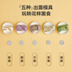 Ailuki Japanische Handheld-Nudelmaschine Haus klein 2025 Neu vollautomatische Daumen-Skulpturen-Maschine Intelligente Elektromodel Presse Handheld Electric Noodle Press-Plug-In-Modell [Senden Sie 5 Schleifwerkzeuge + Messbecher + Messbecher + Schaber]