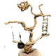 Oimg loro swing stand soporte de tapa de tablero de pájaro estacionamiento de soporte de pájaro rama rama rama pájaro soporte de cocago azul/stand de mesa B679