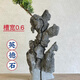 The raw stone is slotted and attached to the stone bonsai, which can be attached with elm, golden bean, fish tank, rockery, garden landscaping stone 27-30cm (slotted model will be shipped randomly)