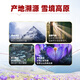 Weishuihong Special Saffron Gift Box 5g for parents, mother and mother-in-law's birthday practical gift for women to nourish Tibet specialties