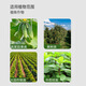 Zhonggu Nongkang (ZGNK) Universal Bacteria Clearing Fungicide Microbial Inoculant Crop Root Rot Leaf Spot Vegetable Plant General Genuine 500g 2 Bottles Genuine Bacteria Clearing