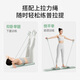 PROIRON Abdominal Wheel Split Abdominal Board Multifunctional Ski Machine Pelvic Floor Muscle Trainer Abdomen Pilates Device