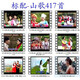 Guizhou Yunnan Miao Mountain Opera u Festplatte 64G Klassiker Lied Liu Sanjie sieht die Oper USB USB Disk 16/G Mountain Song 1422 + 340 Mountain Opera 1 MB + Standard an