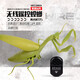 Mantis Fernbedienungssimulation Reptile Streichinsekten-Primar- und Sekundarschüler Spielzeug 3-7-8-12-jähriges Jungen und Mädchen klassische Version-Fernbedienungskontrolle Centipede Gelb und Schwarzes Modell 9901+ Snail upgradierte Version mit 22 Elektronik