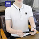 
ROMON short-sleeved T-shirt for men 2025 new summer new youth simple trend half-sleeved lapel Polo shirt clothes K12801 green L