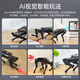 Fantasy ROS Robot à quatre pattes Robot Dog Puppypy Bionic Intelligent Programming Modèle de vision AI Raspberry PI 4B / 5 Version de développement Radar + Voice + Extension Sensor Raspberry Pi 4B / 4G