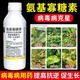 5% aminooligosaccharide virus disease leaf curl disease yellow disease vegetable tobacco fruit tree pepper pesticide fungicide 1000g
