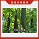 Shouguang Double Star Zenggualing cucumber and bitter melon increases female flowers in advance and controls melon growth. Water-soluble fertilizer with a large number of elements 15g